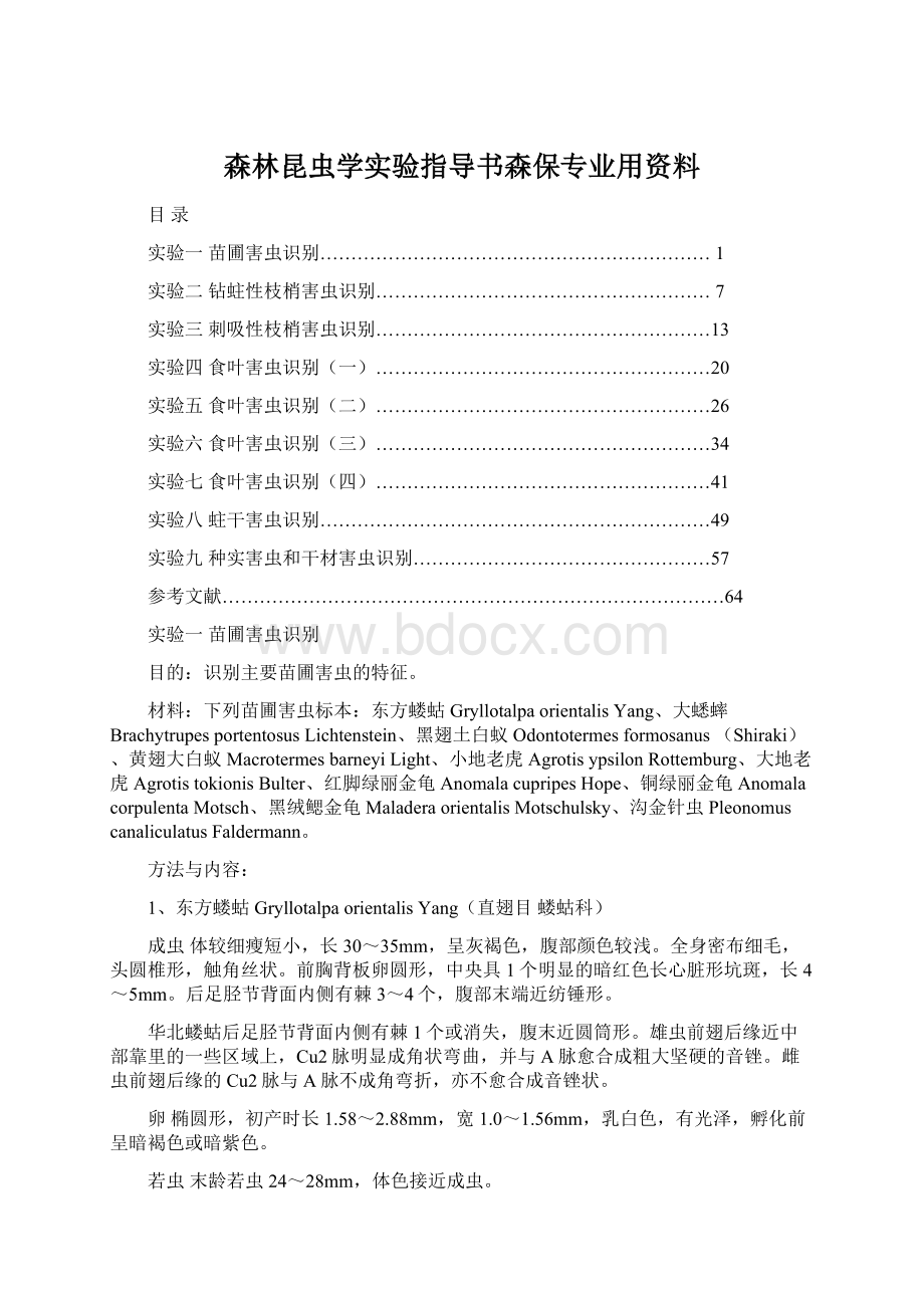 森林昆虫学实验指导书森保专业用资料.docx