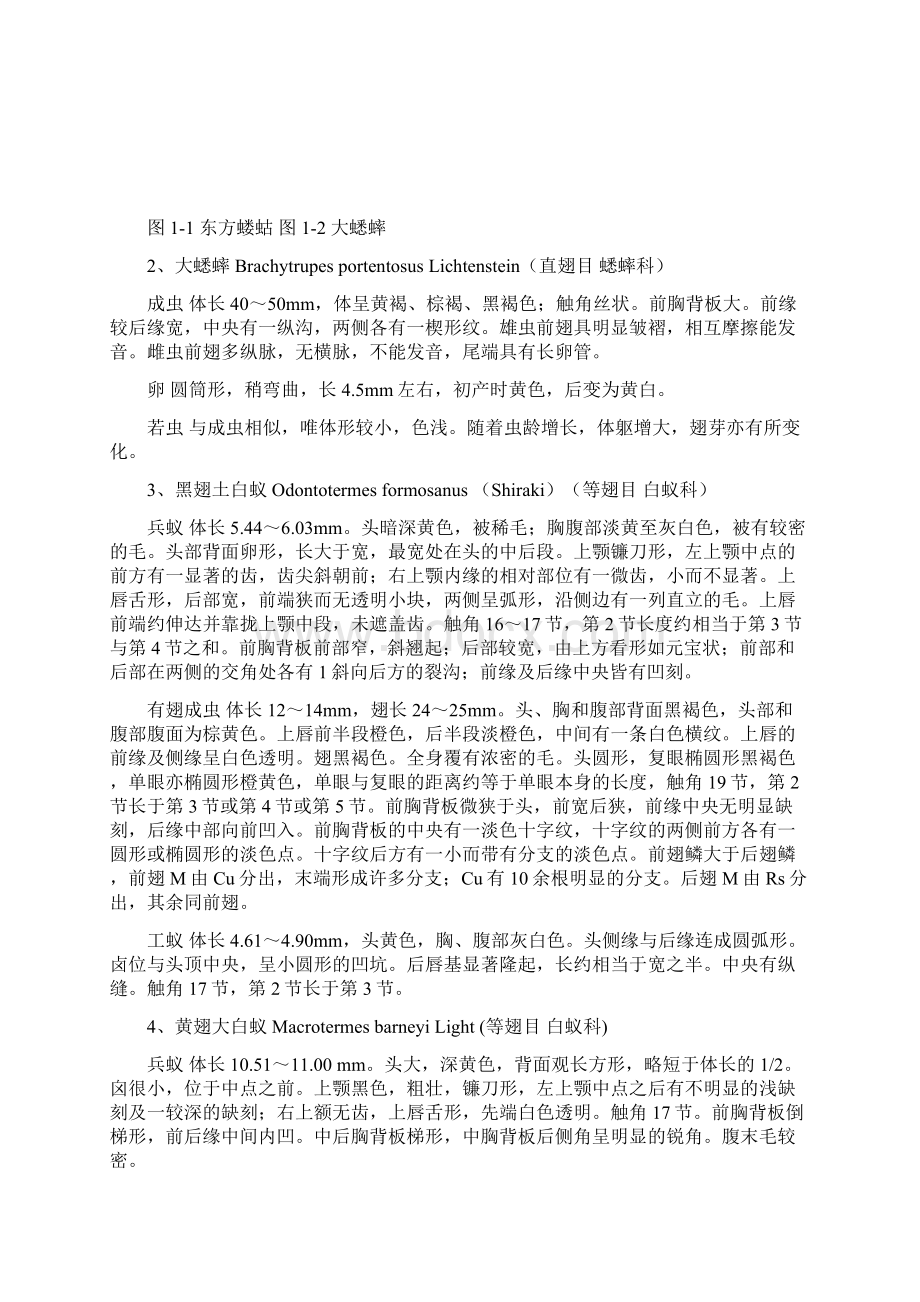 森林昆虫学实验指导书森保专业用资料Word下载.docx_第2页