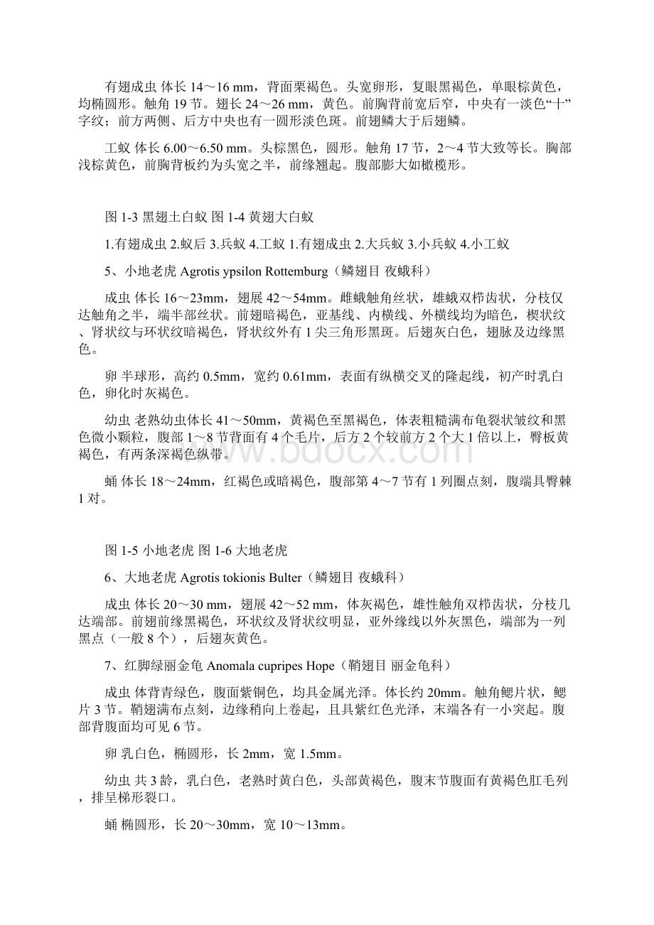 森林昆虫学实验指导书森保专业用资料.docx_第3页