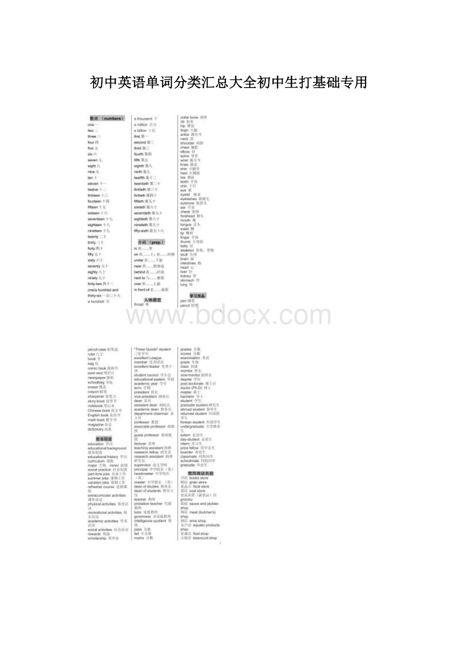 初中英语单词分类汇总大全初中生打基础专用.docx_第1页