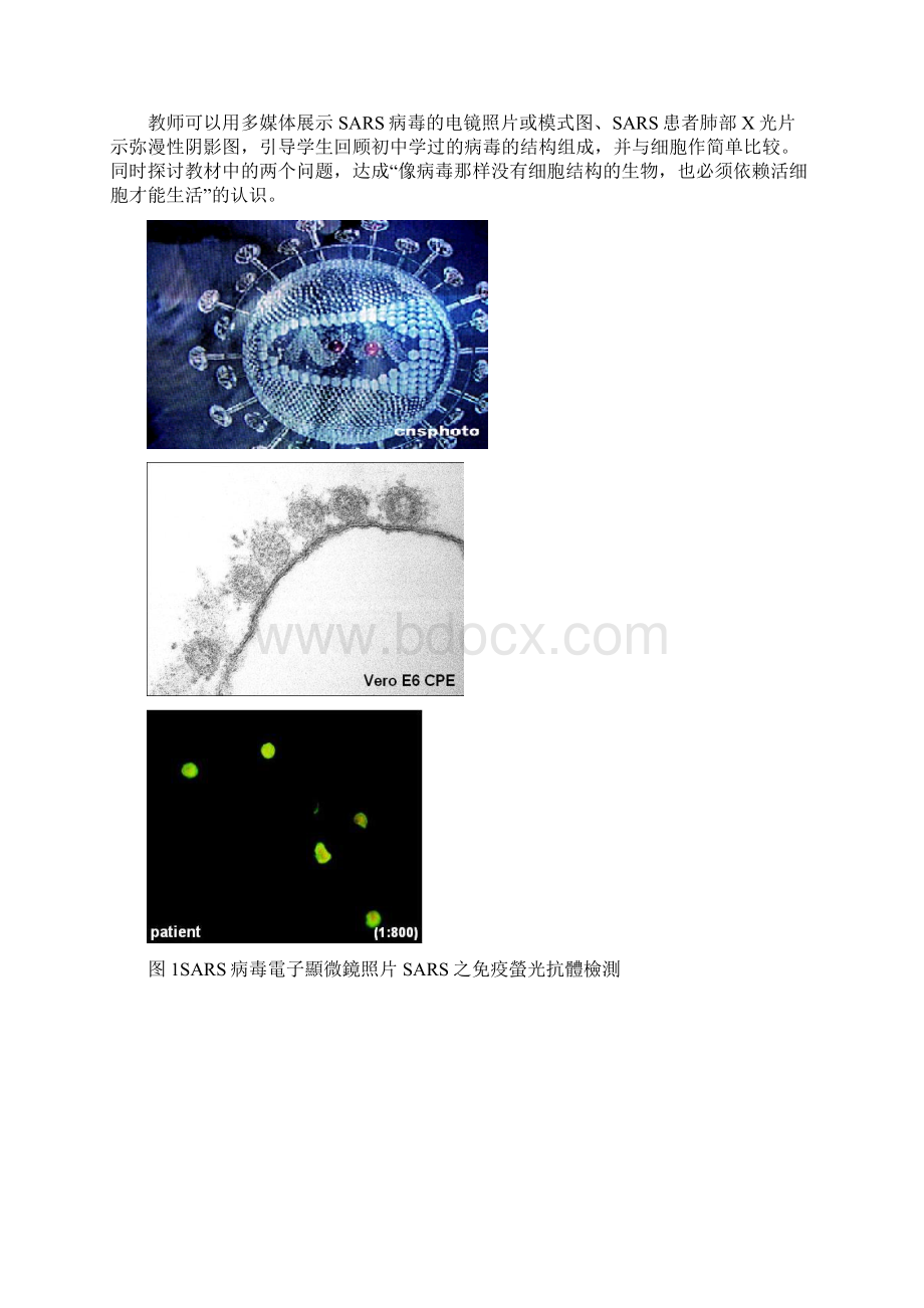 高中生物 11从生物圈到细胞教案2新人教版必修1.docx_第2页