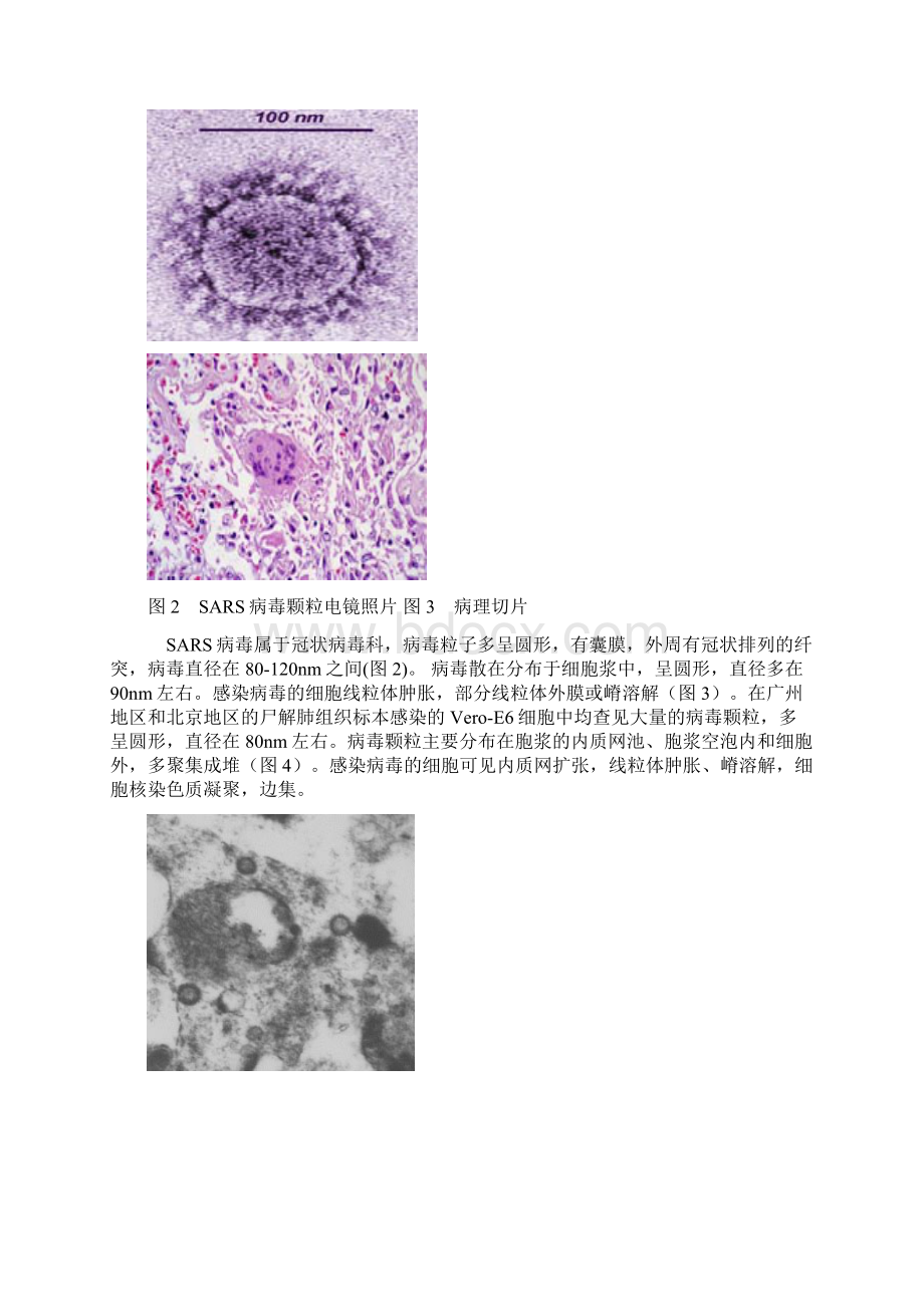 高中生物 11从生物圈到细胞教案2新人教版必修1.docx_第3页