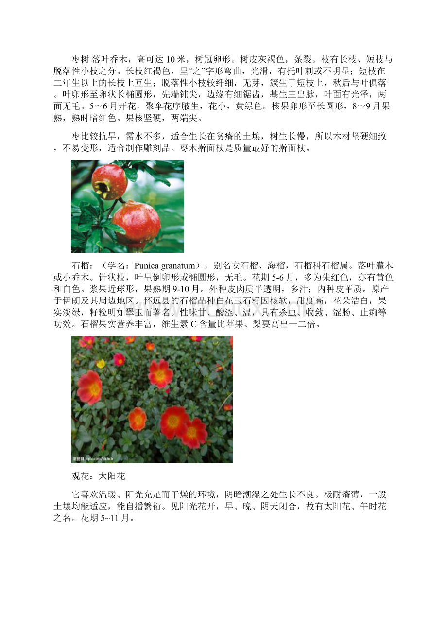 景观园林笔记文档doc.docx_第3页