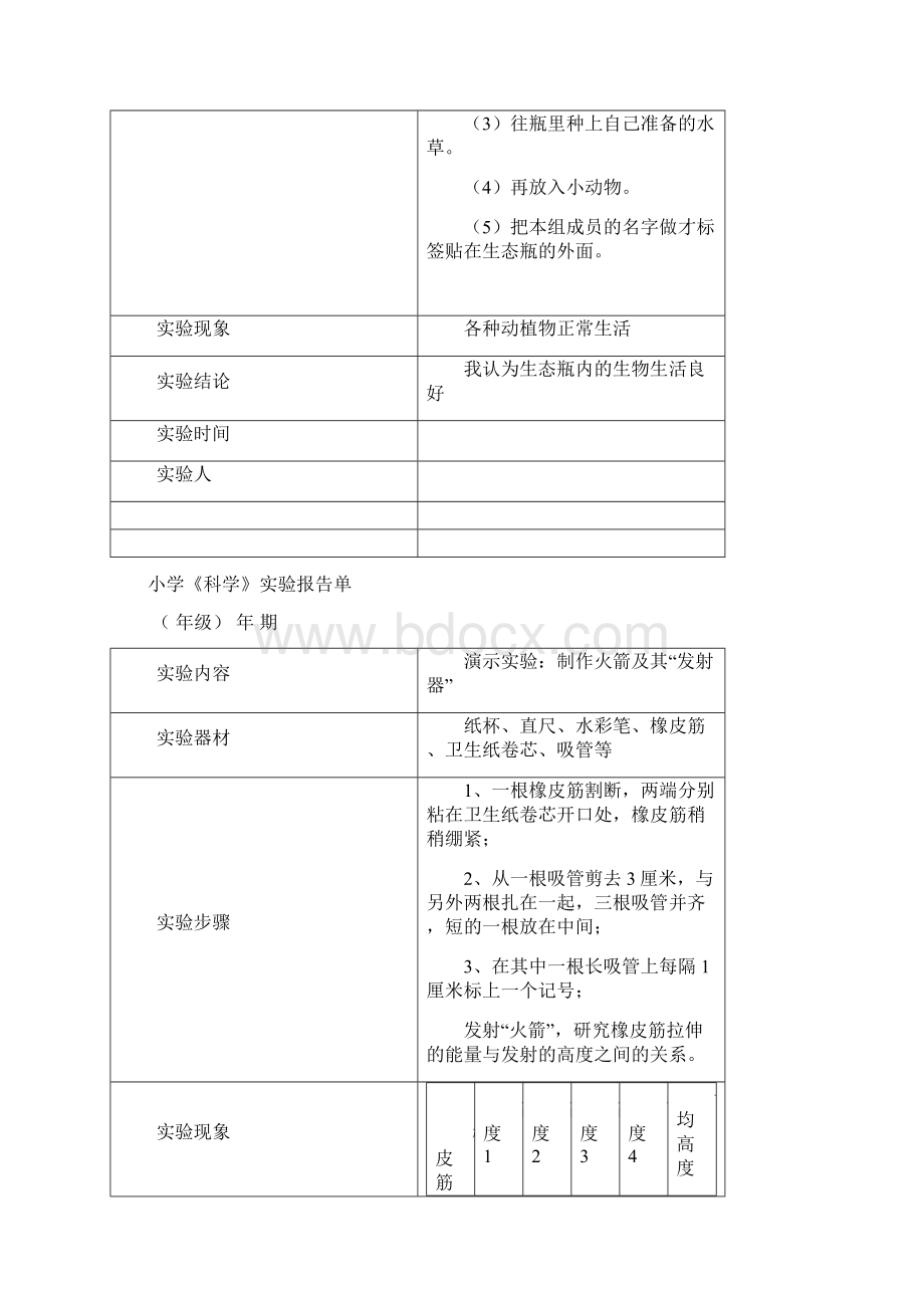 苏版小学科学实验报告单上六年级Word格式.docx_第2页