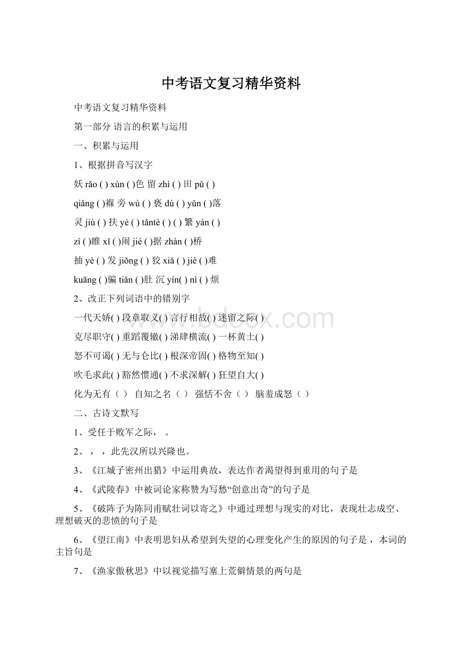 中考语文复习精华资料文档格式.docx