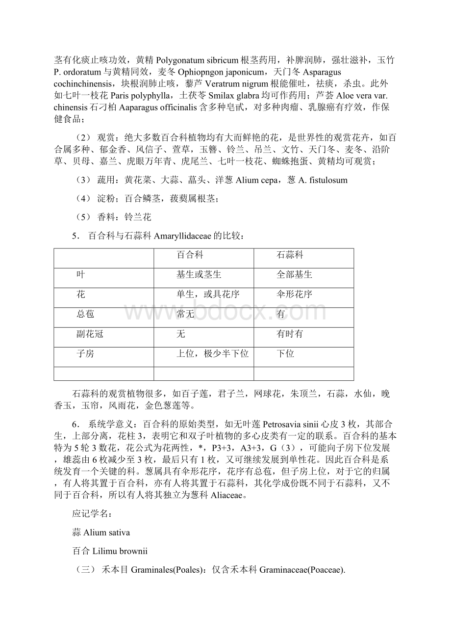 被子植物4Word格式.docx_第3页