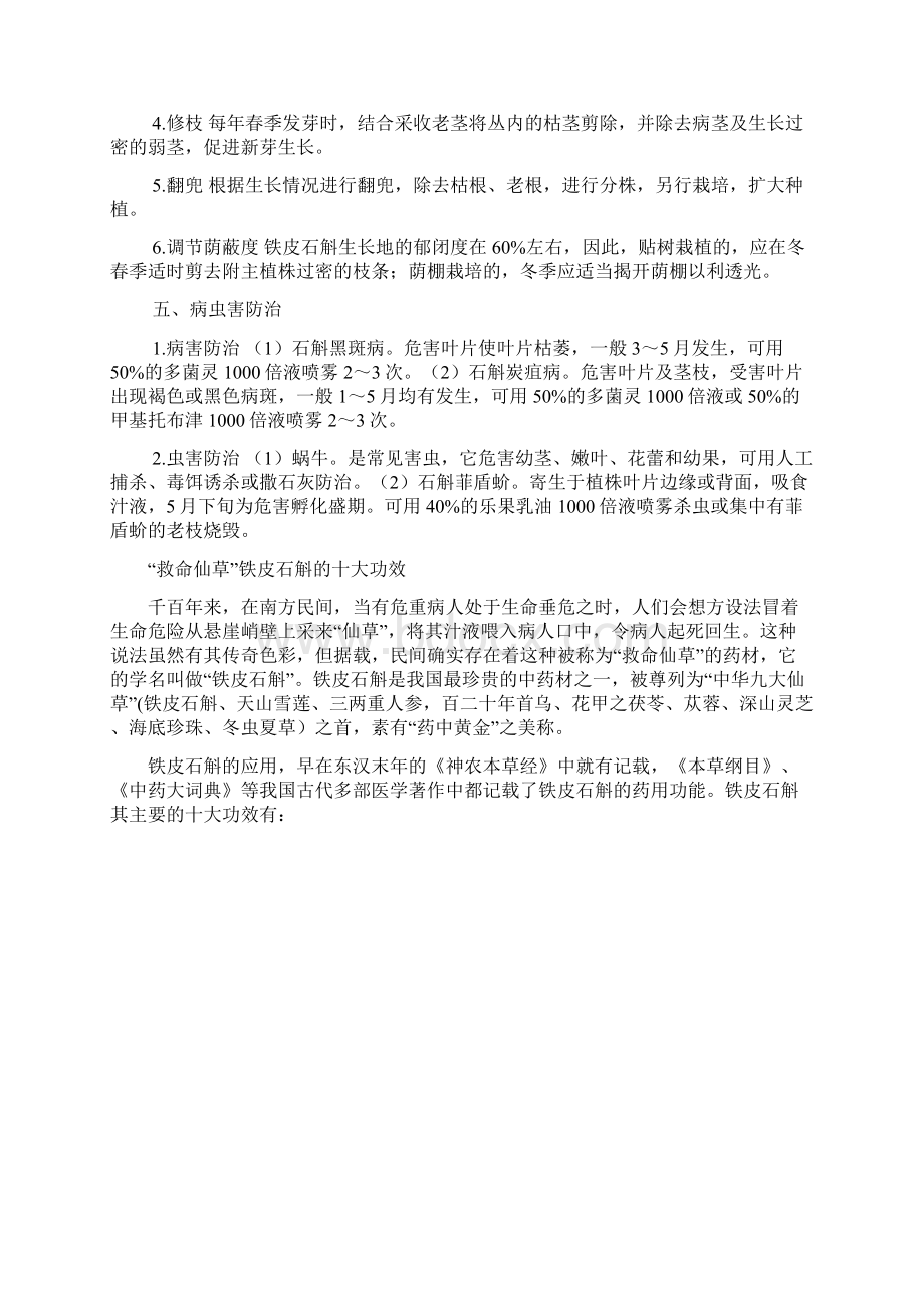 铁皮石斛如何种植.docx_第2页