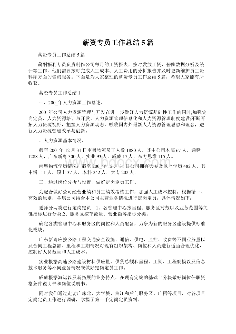 薪资专员工作总结5篇.docx