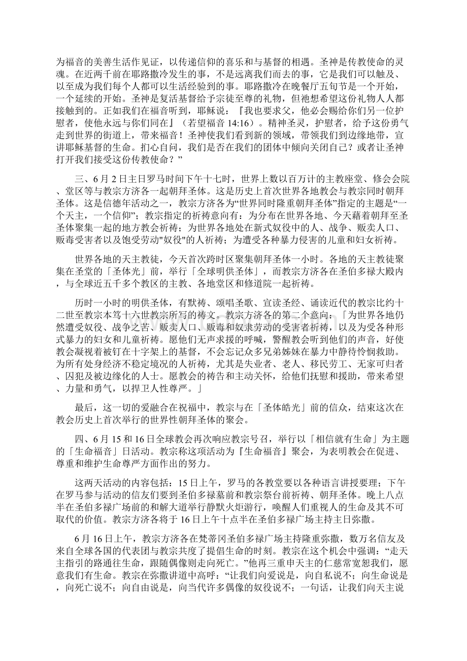 信德年闭幕教宗方济各特别活动总结精彩.docx_第2页