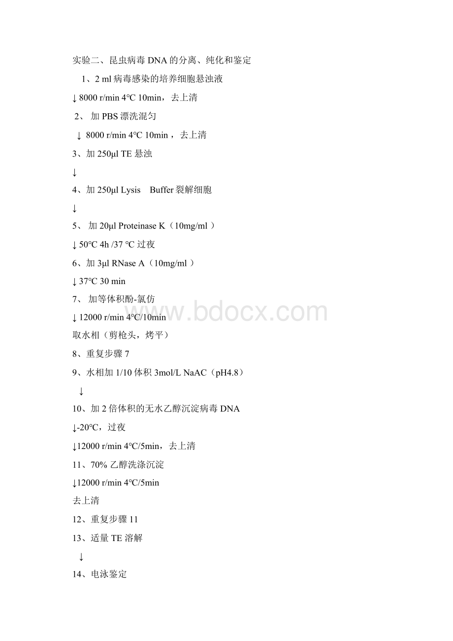 分子生物学10个主干实验步骤精Word格式.docx_第2页