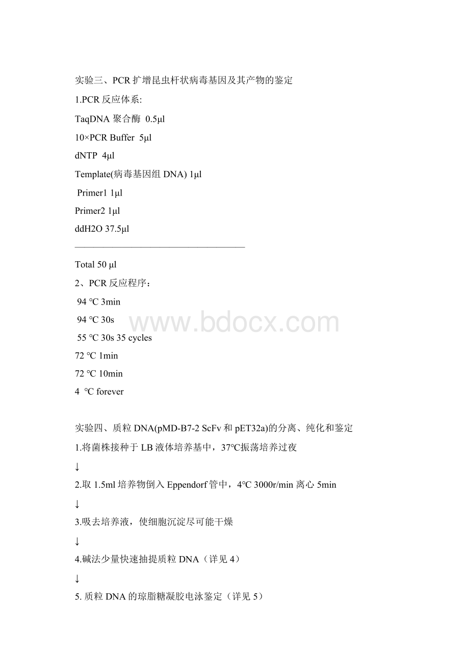 分子生物学10个主干实验步骤精.docx_第3页