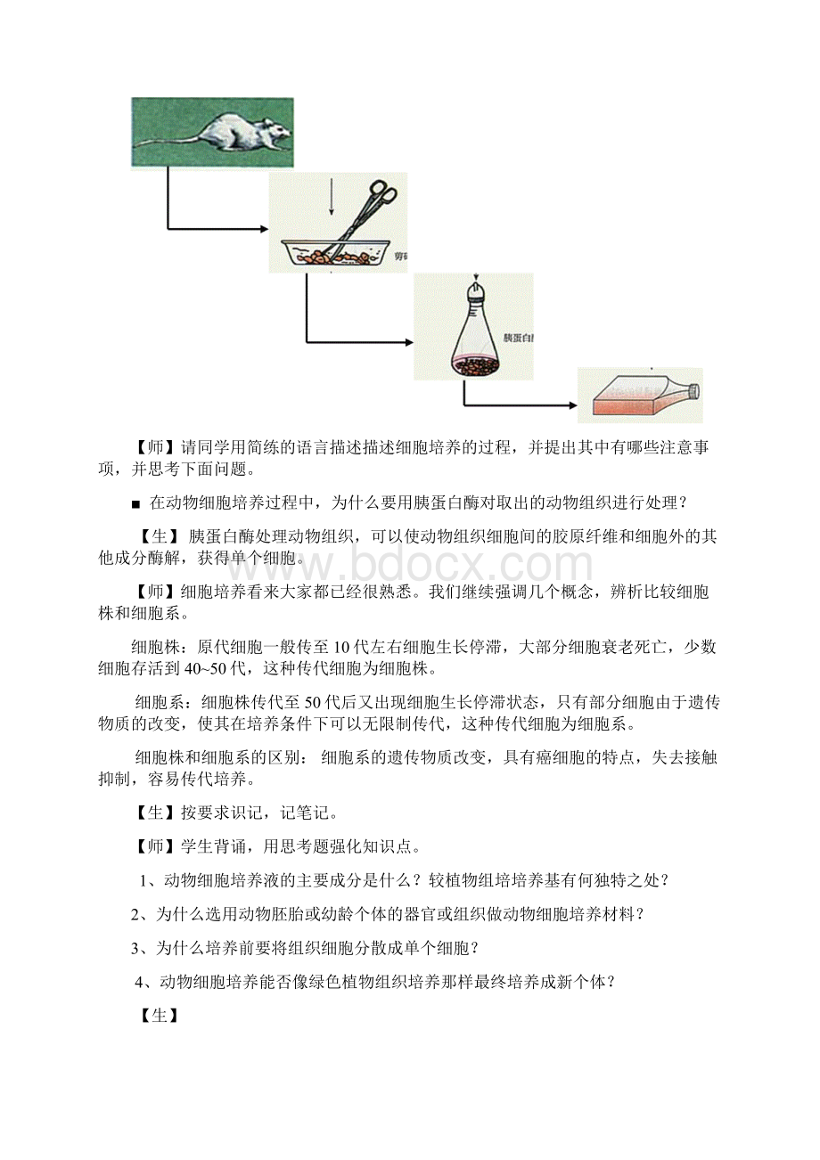 动物细胞培养学案Word文档下载推荐.docx_第2页