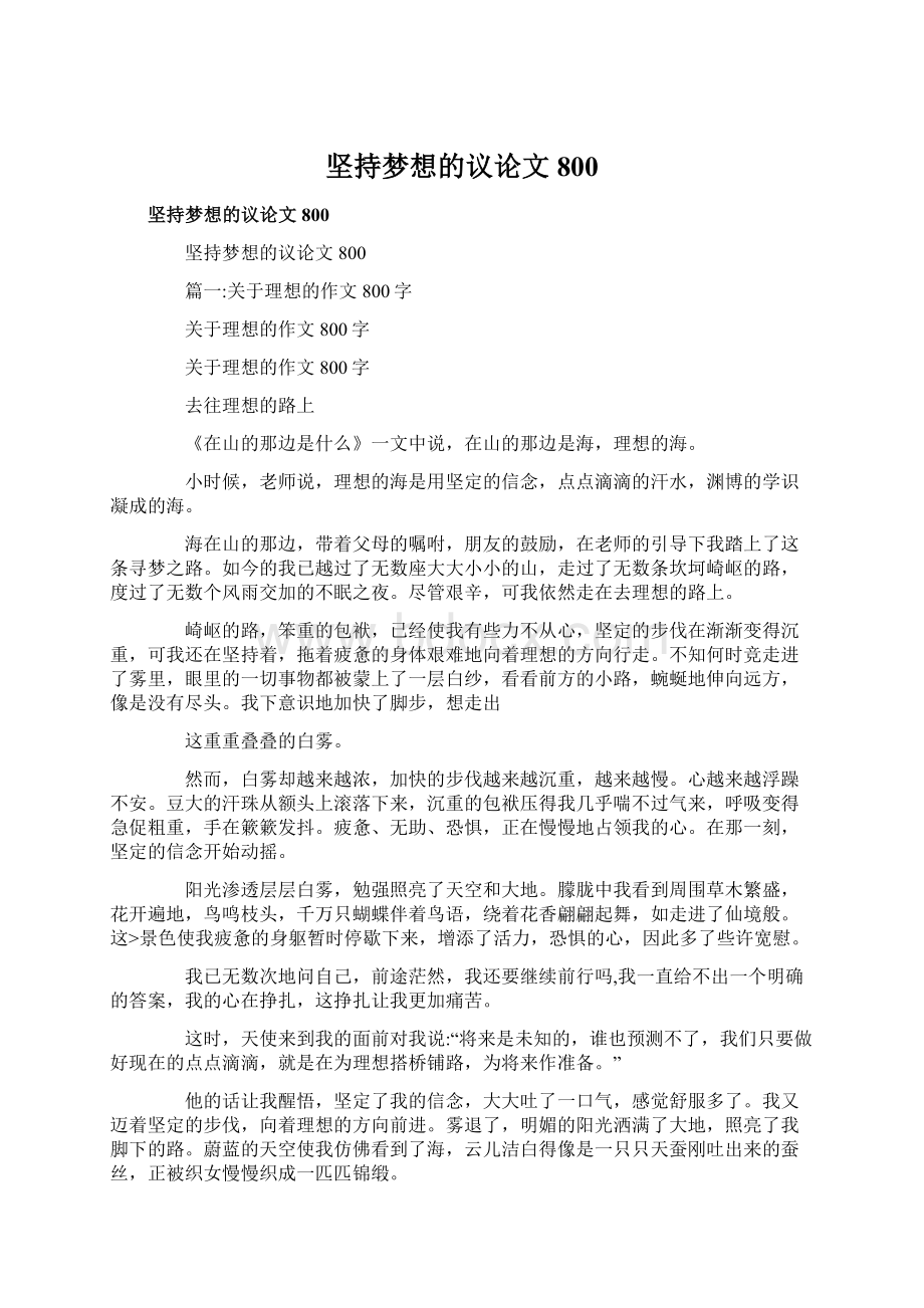 坚持梦想的议论文800.docx