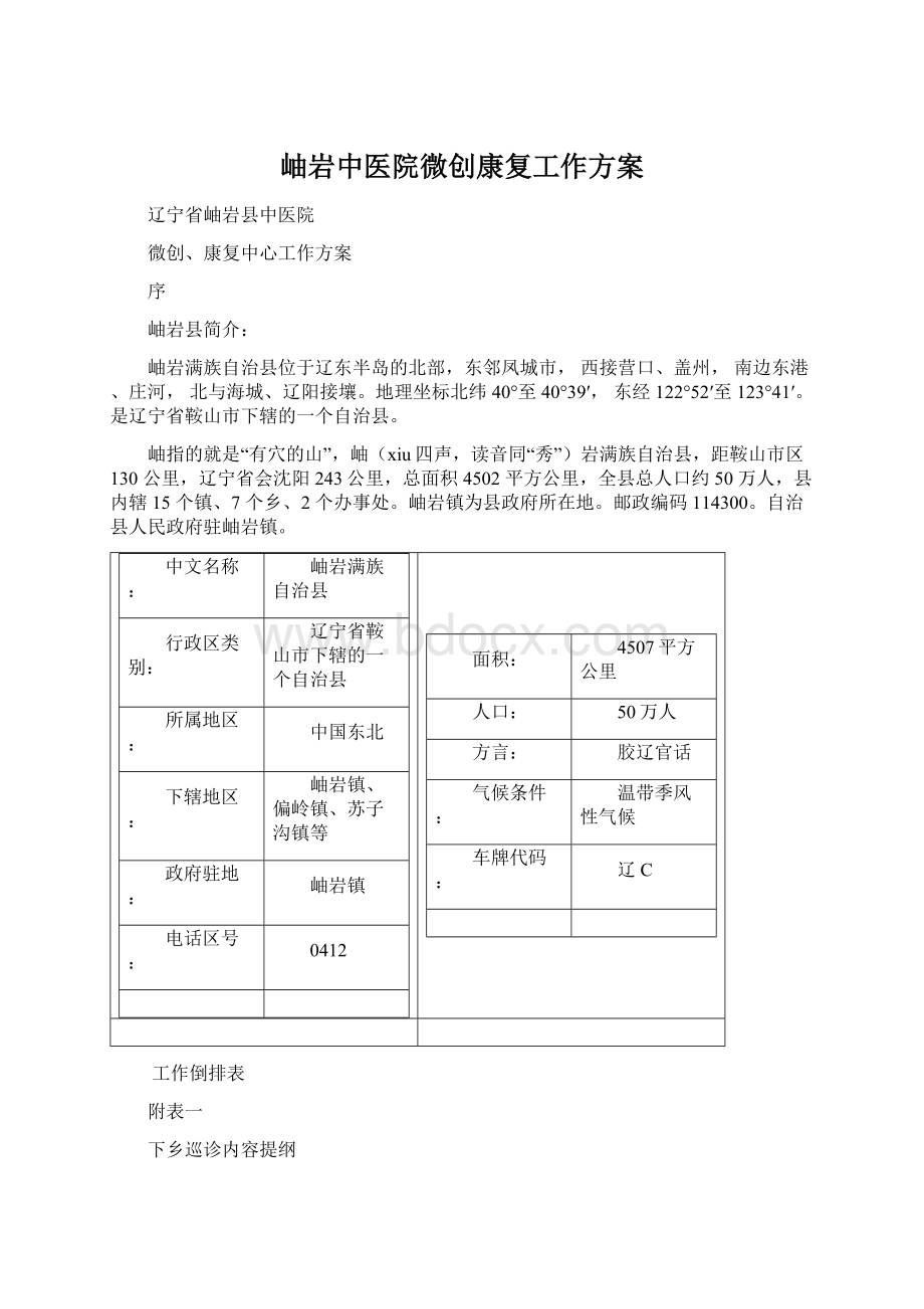 岫岩中医院微创康复工作方案文档格式.docx