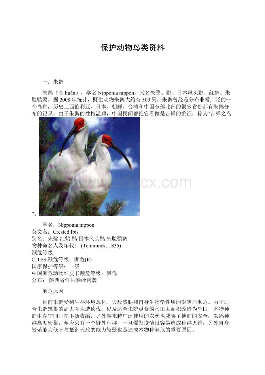 保护动物鸟类资料Word格式文档下载.docx