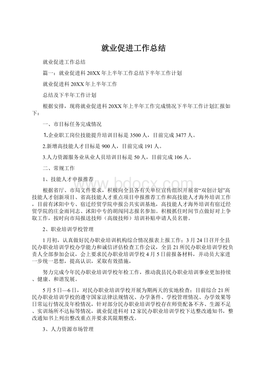 就业促进工作总结Word格式.docx