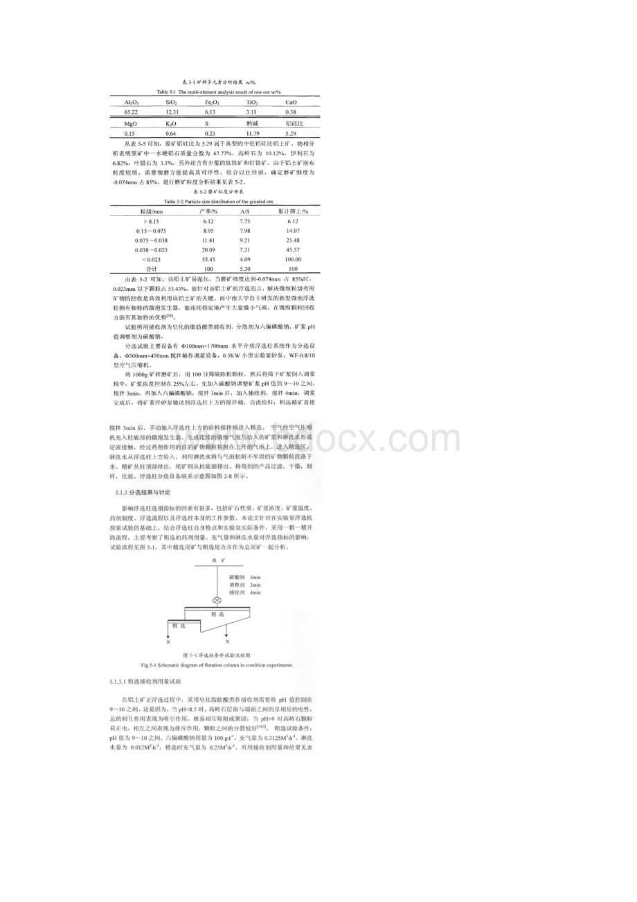 直径100Xmm水平介质浮选柱应用研究.docx_第2页