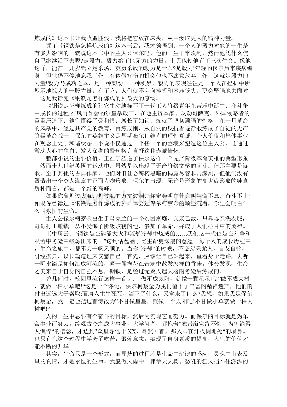 名著钢铁是怎样炼成的读后感.docx_第2页