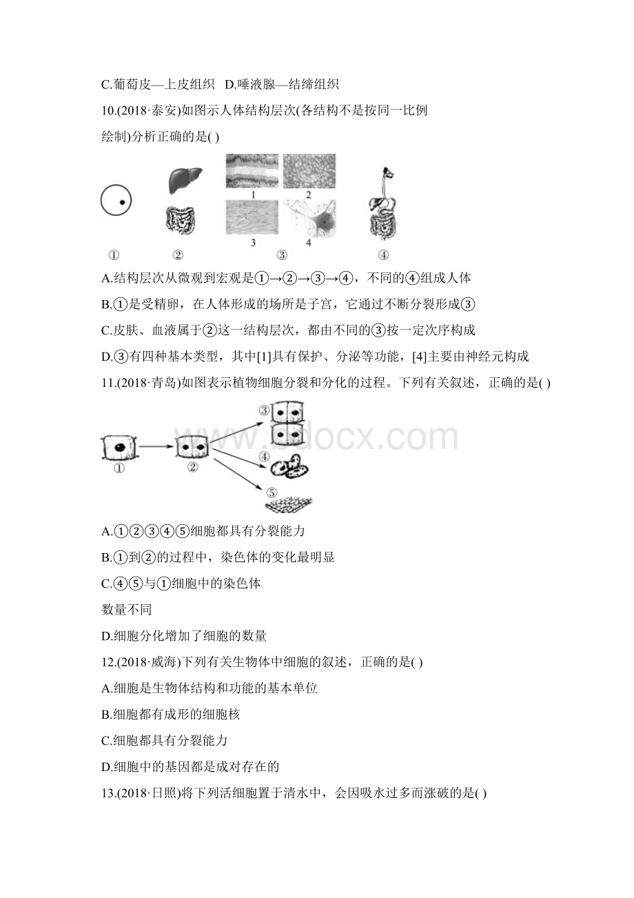 最新中考生物 第一单元 第二章模拟实训Word格式文档下载.docx_第3页