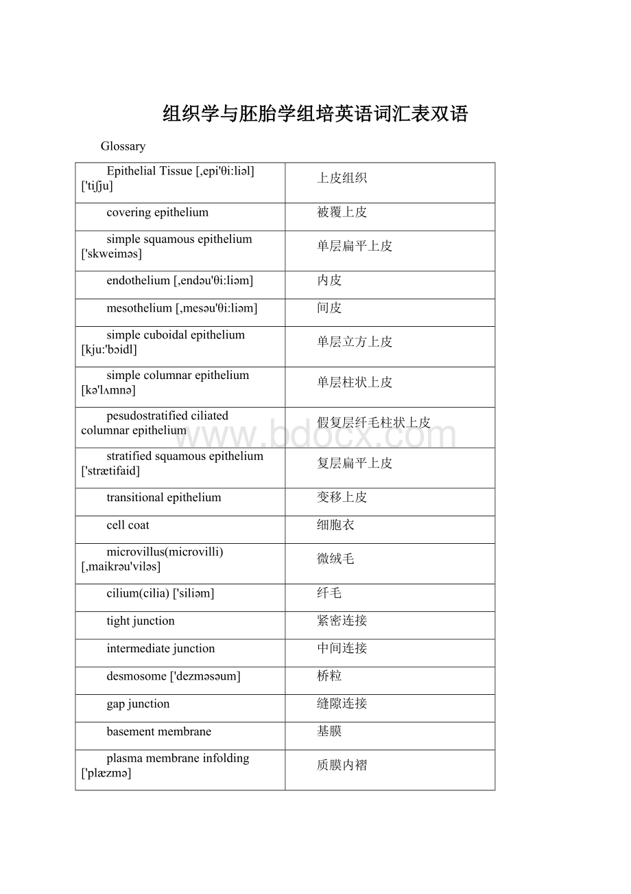 组织学与胚胎学组培英语词汇表双语Word文档格式.docx