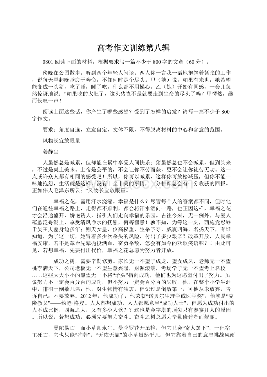 高考作文训练第八辑文档格式.docx