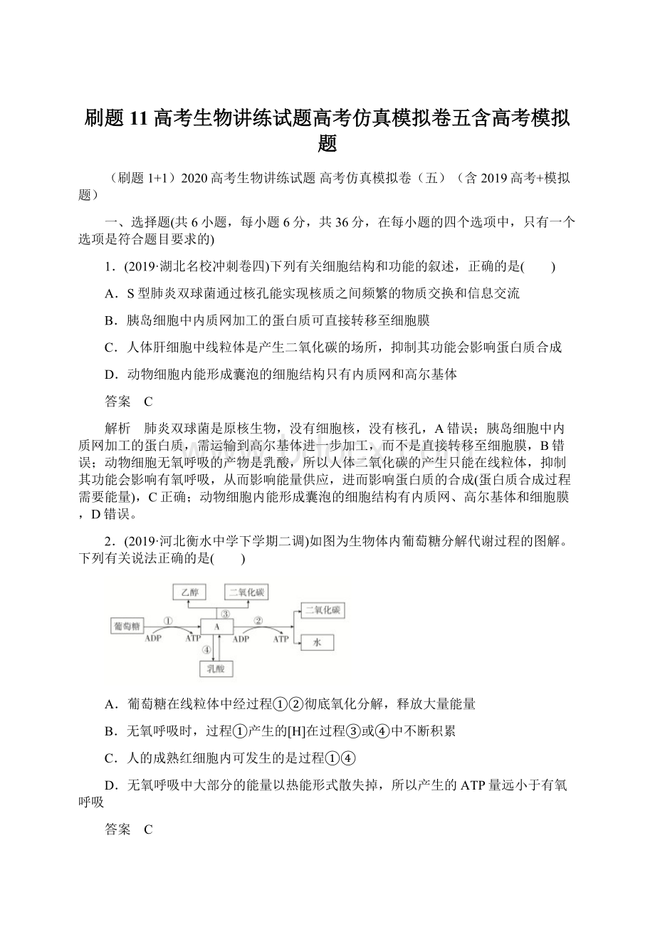 刷题11高考生物讲练试题高考仿真模拟卷五含高考模拟题.docx