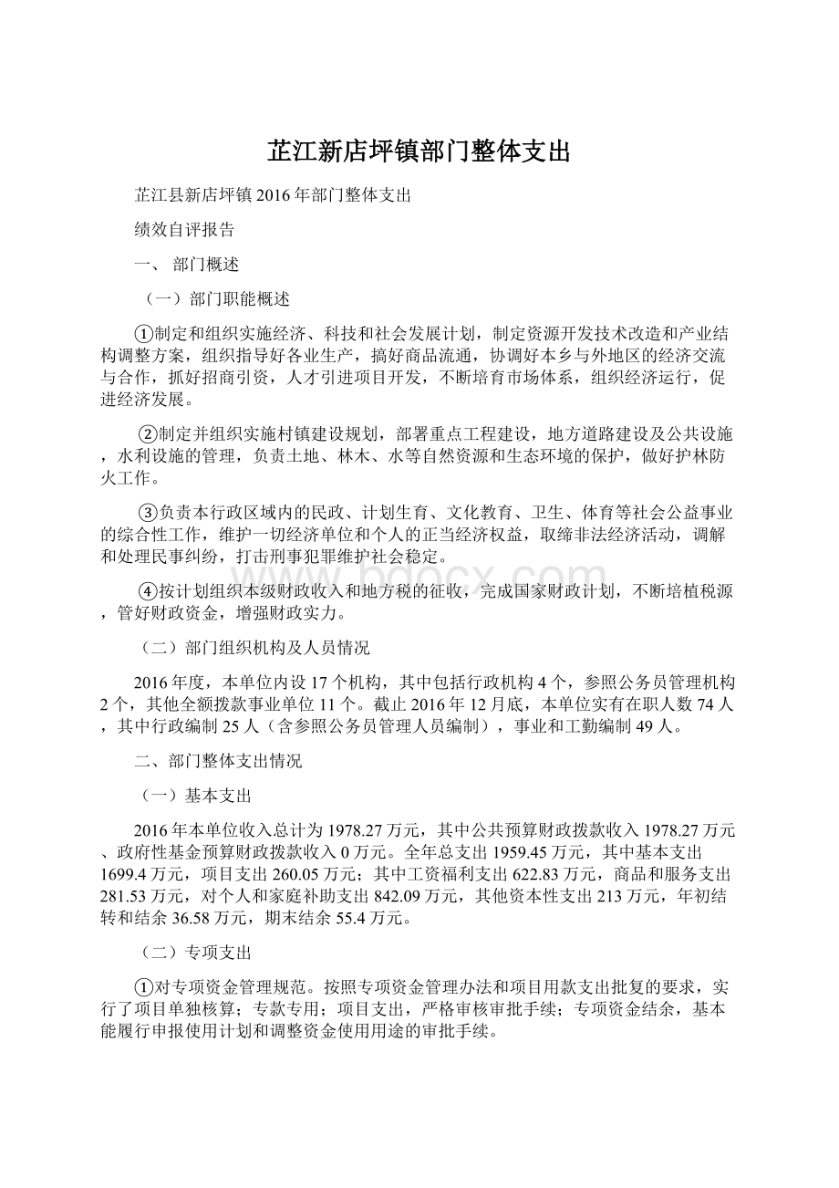 芷江新店坪镇部门整体支出.docx_第1页