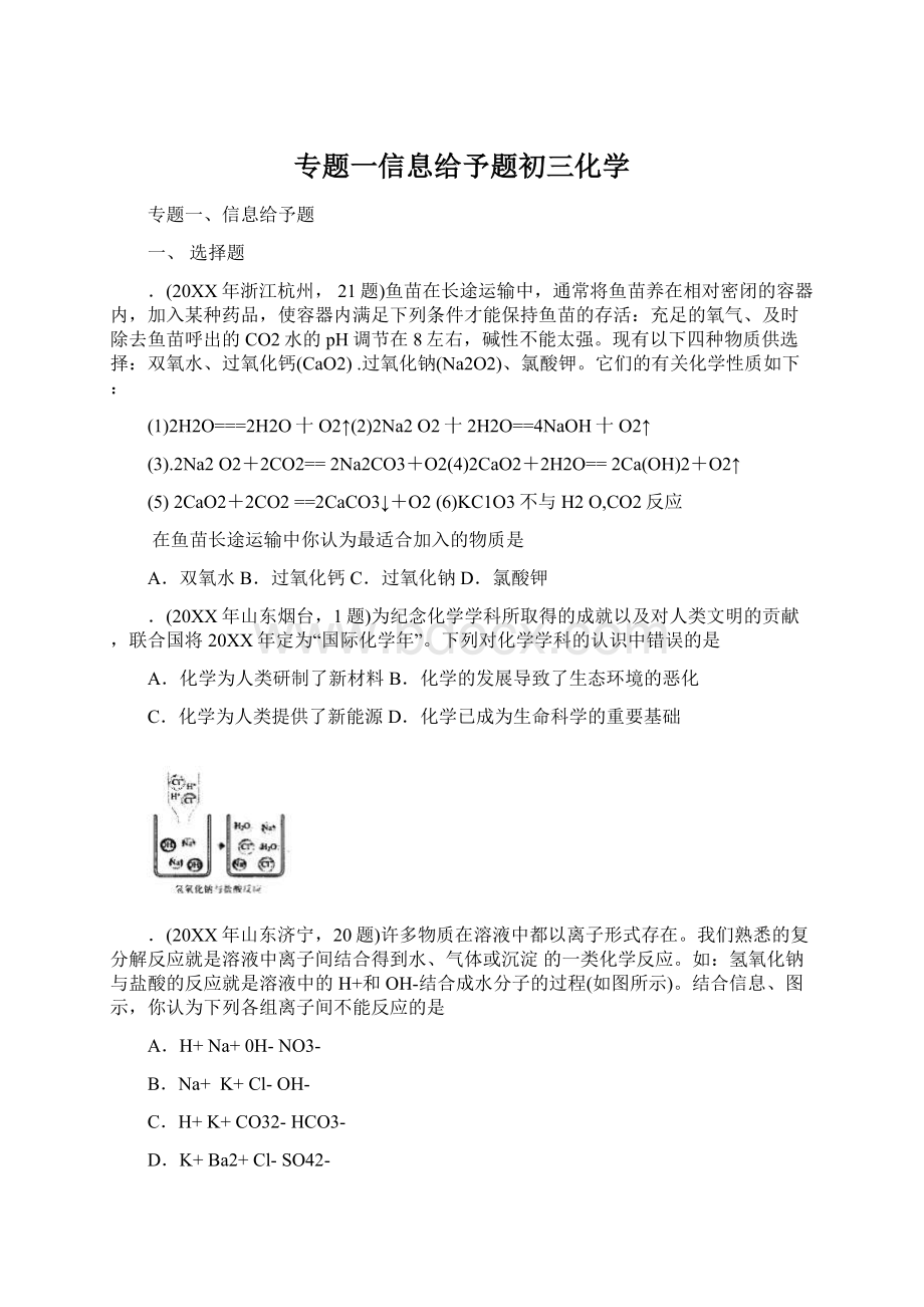 专题一信息给予题初三化学Word文档格式.docx