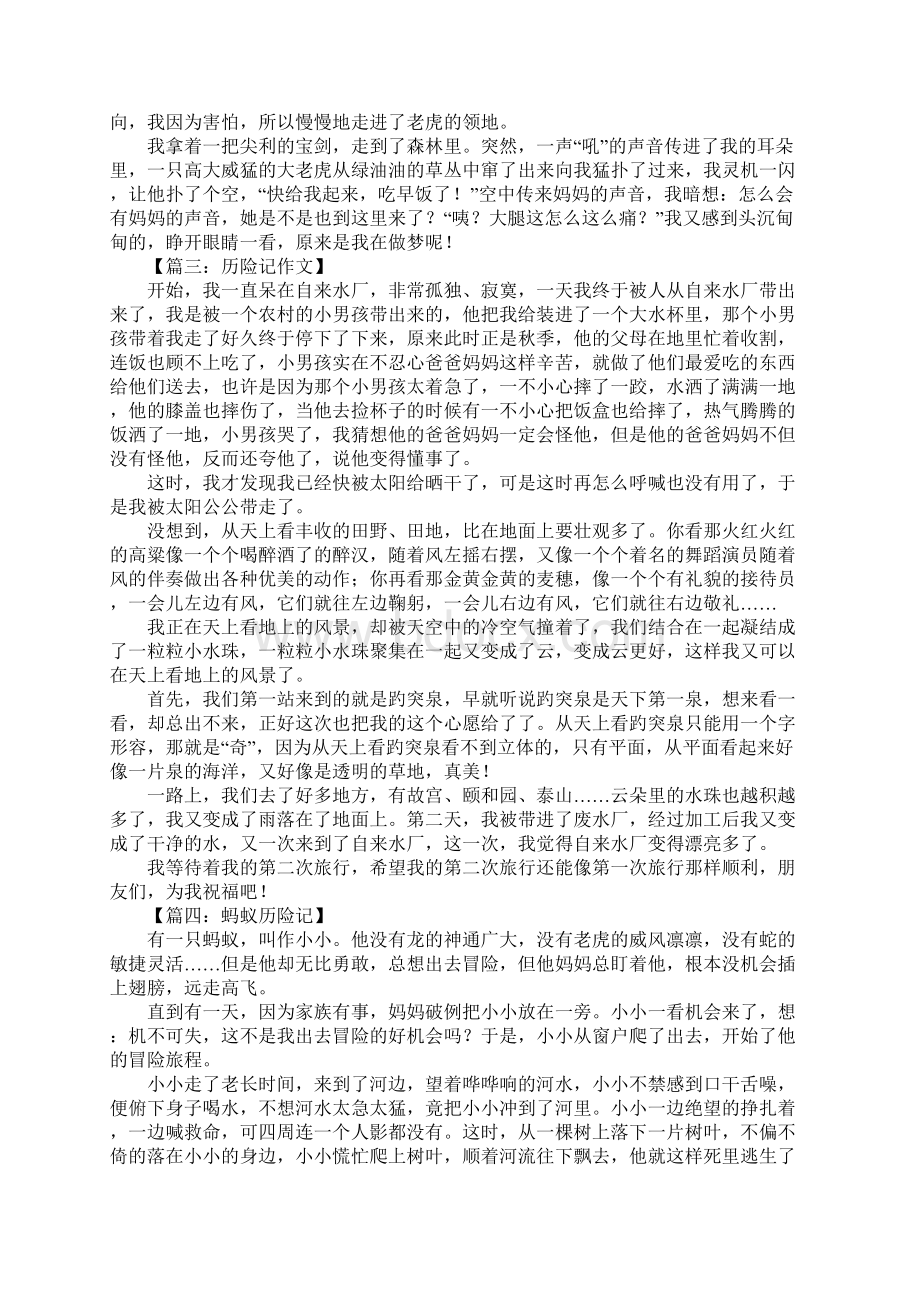 历险记作文600字.docx_第2页