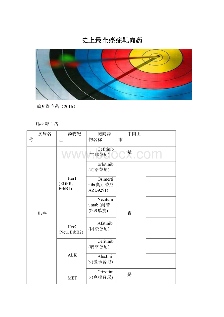 史上最全癌症靶向药文档格式.docx