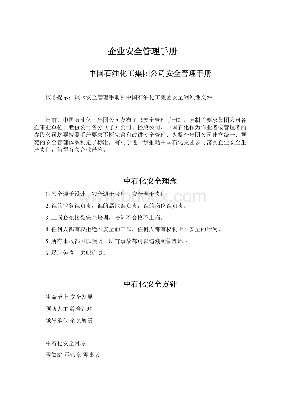 企业安全管理手册文档格式.docx