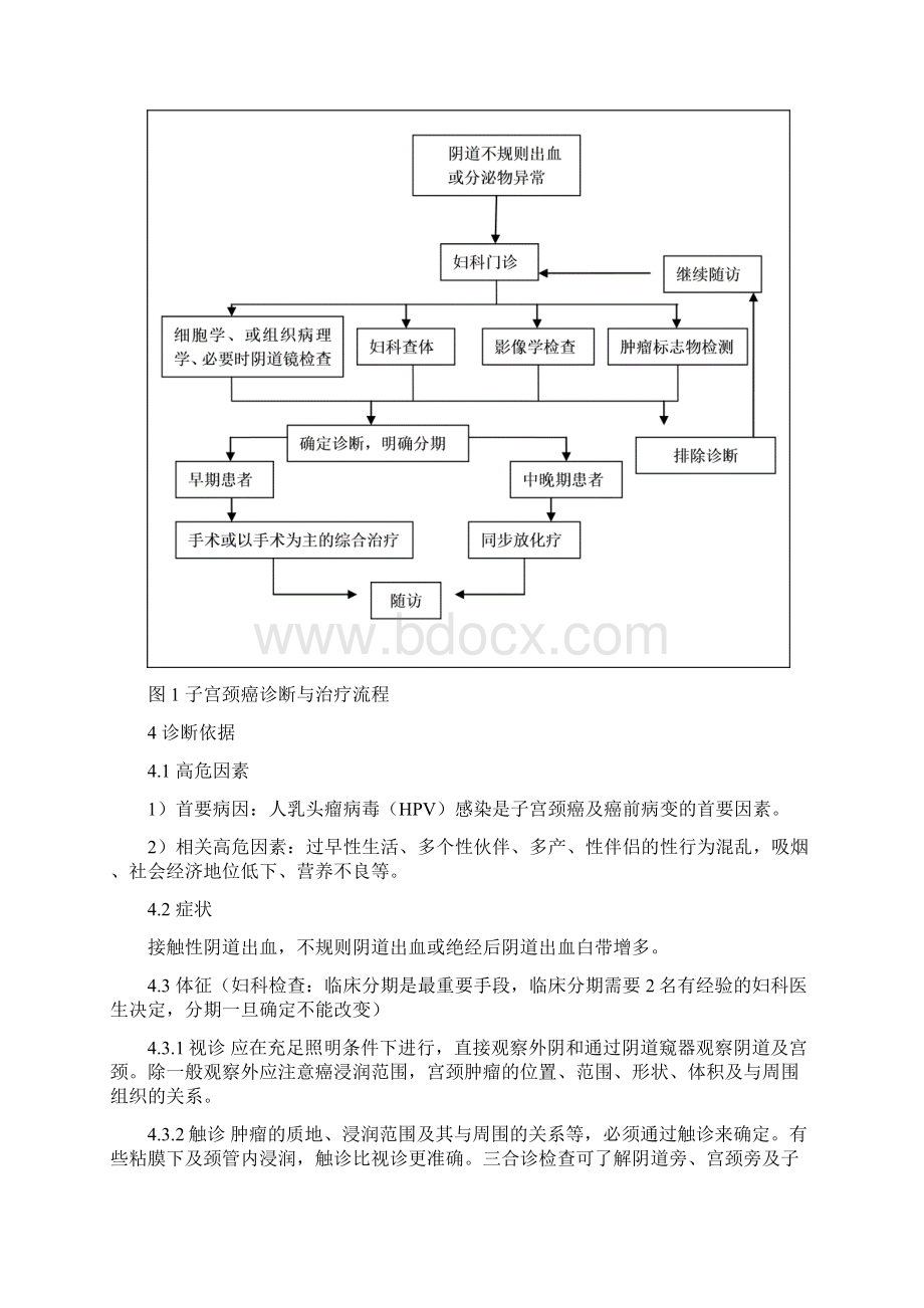 宫颈癌诊断治疗标准.docx_第2页