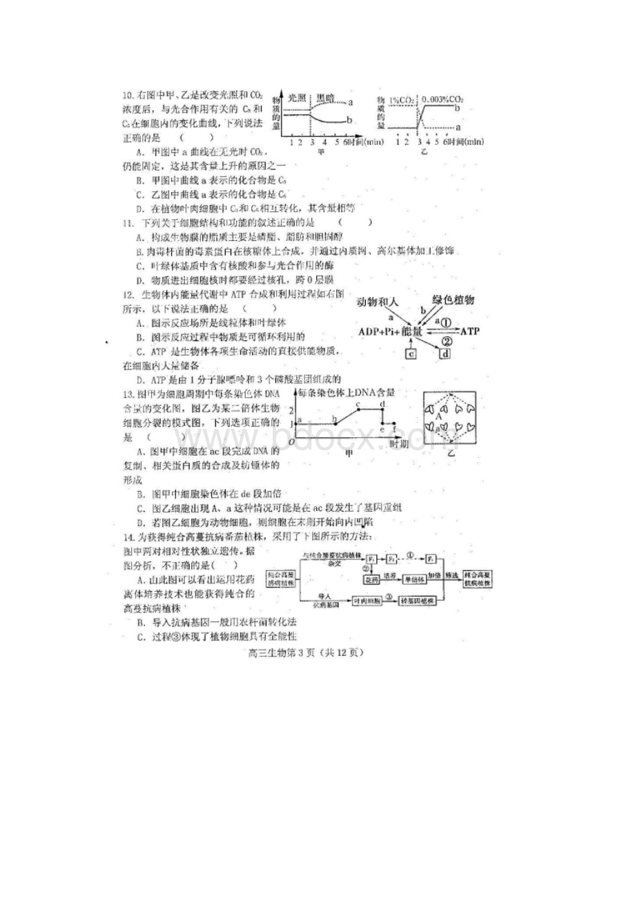 高考名校押题卷山东省安丘一中届高三过程性训练生物试题 扫描版含答案.docx_第3页