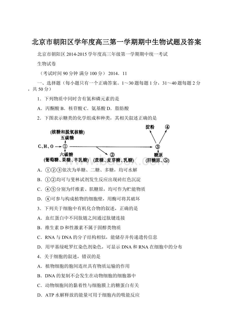 北京市朝阳区学年度高三第一学期期中生物试题及答案Word格式文档下载.docx