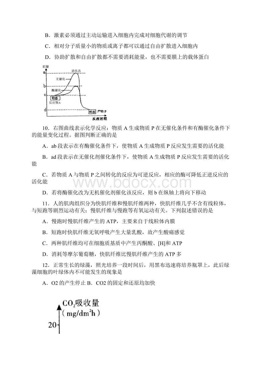 北京市朝阳区学年度高三第一学期期中生物试题及答案.docx_第3页