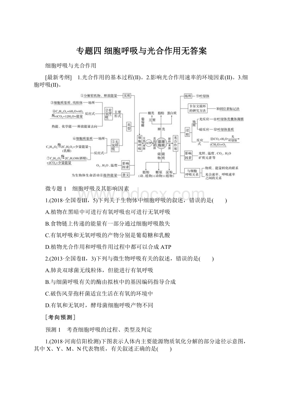 专题四 细胞呼吸与光合作用无答案.docx_第1页