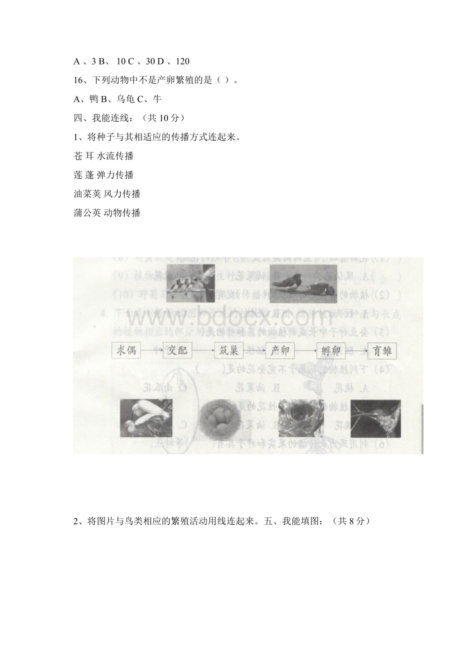 小学科学四年级下册第二单元检测卷.docx_第3页