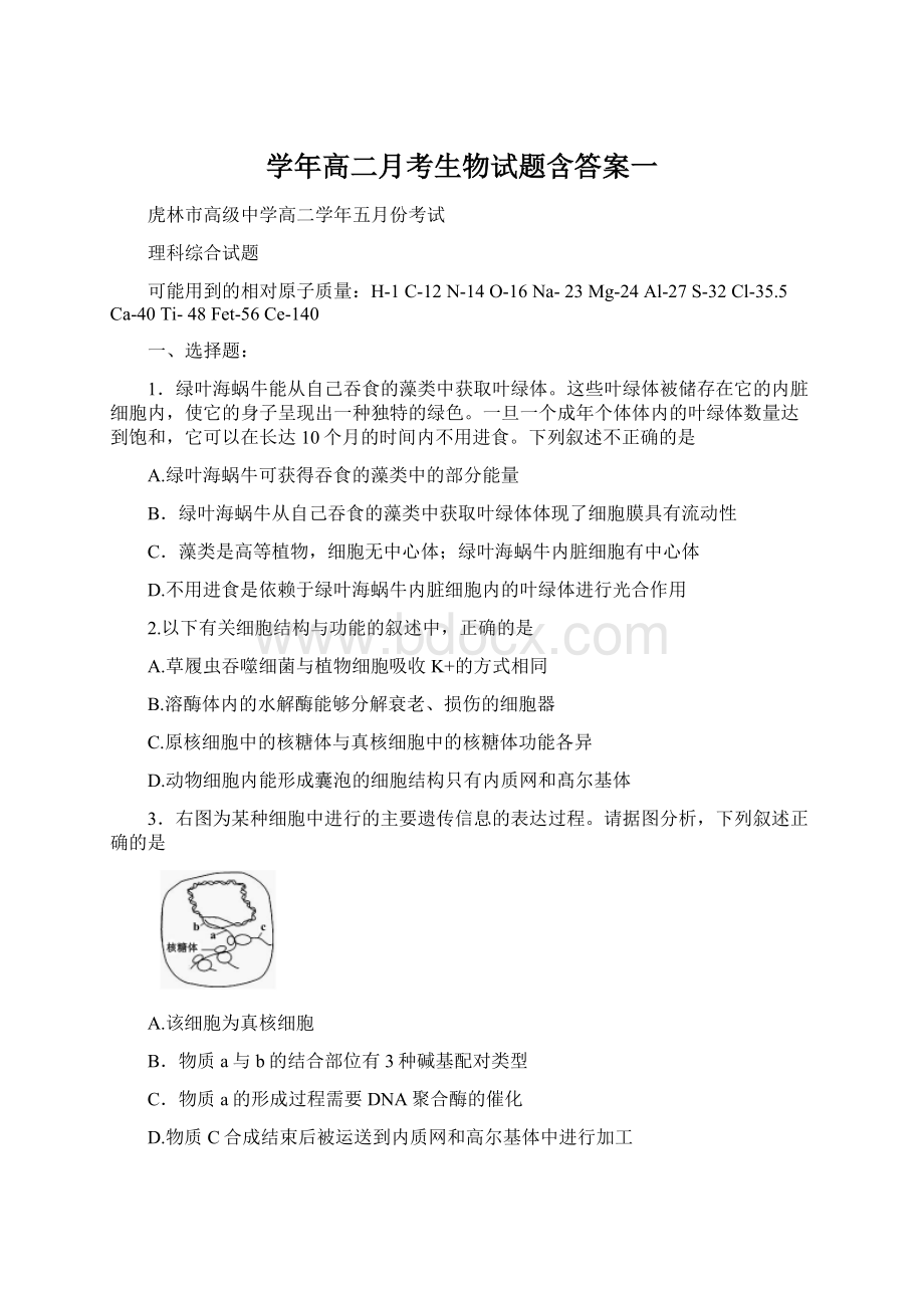 学年高二月考生物试题含答案一文档格式.docx_第1页