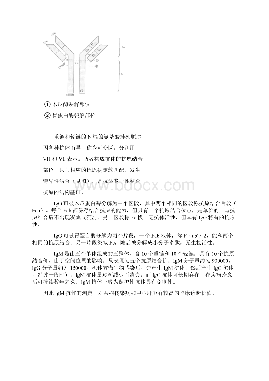 免疫检测的基础知识ELISA.docx_第2页