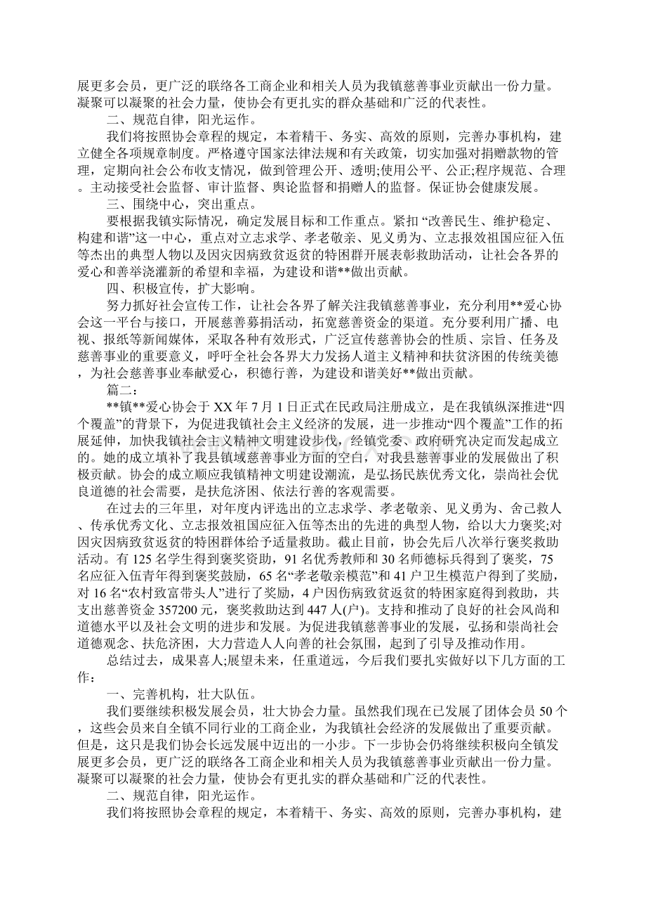 爱心协会工作总结.docx_第2页