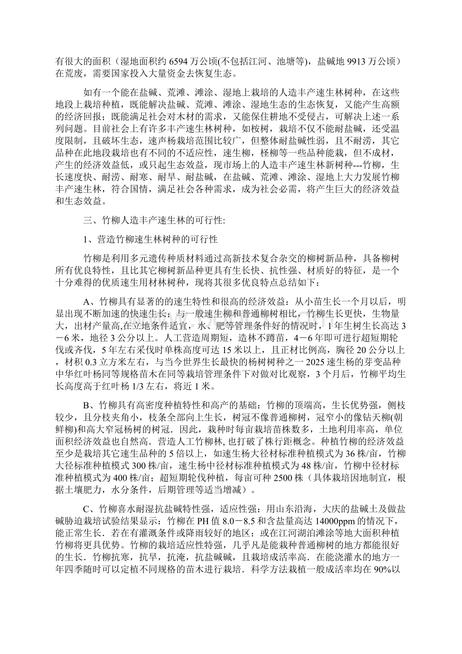 竹柳速生林计划可行性分析报告.docx_第3页