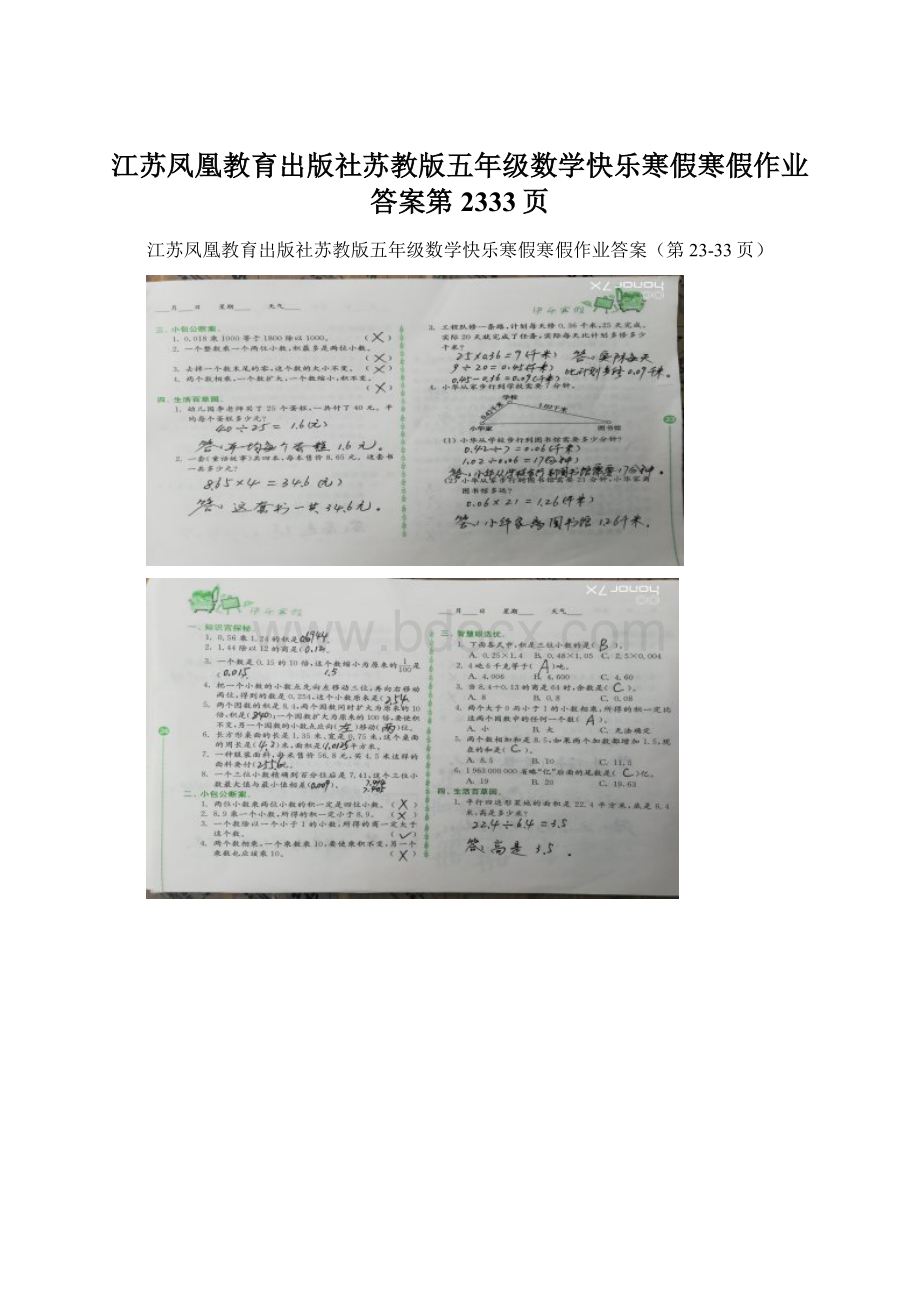 江苏凤凰教育出版社苏教版五年级数学快乐寒假寒假作业答案第2333页.docx