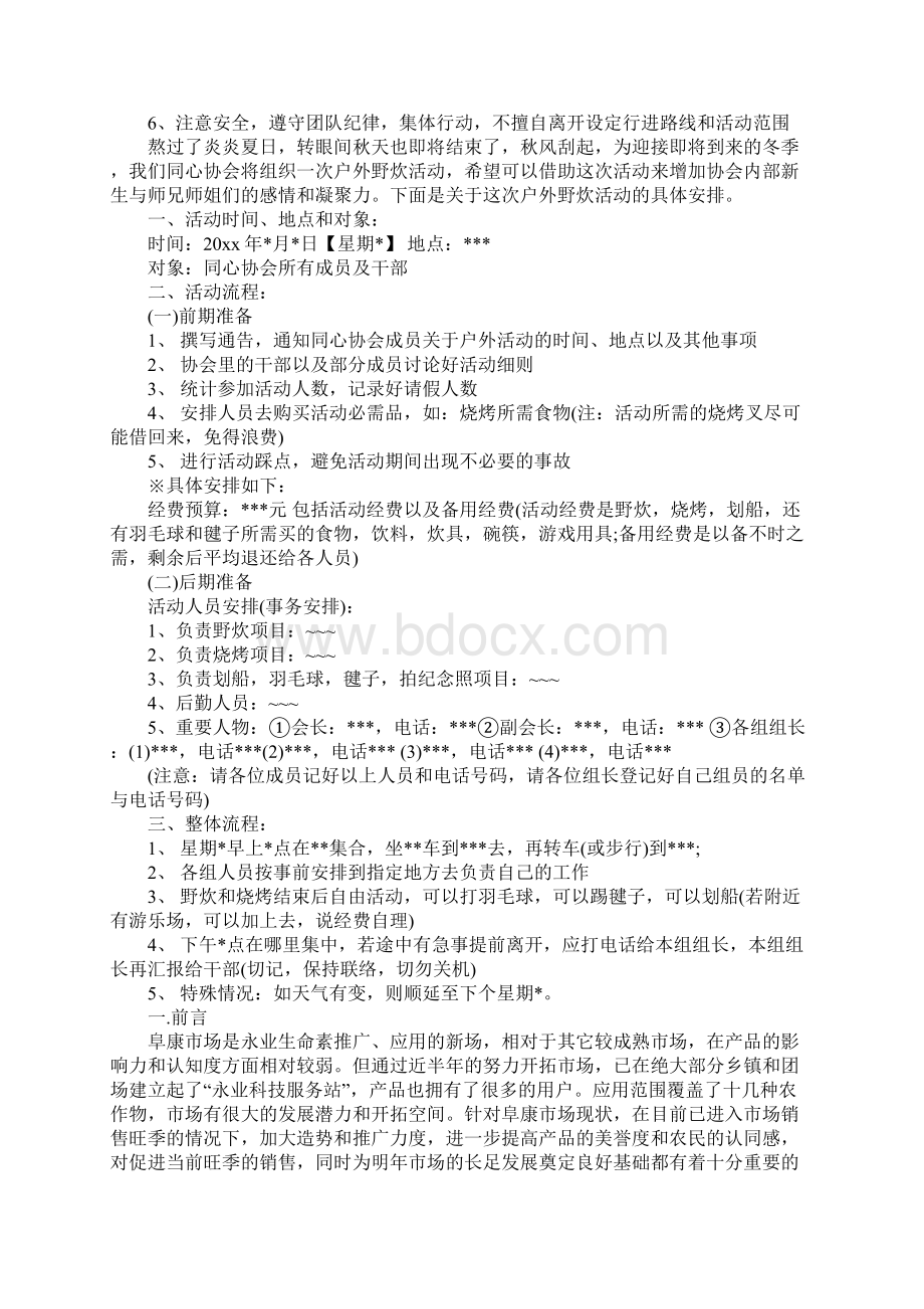 大型户外活动策划方案Word格式文档下载.docx_第3页