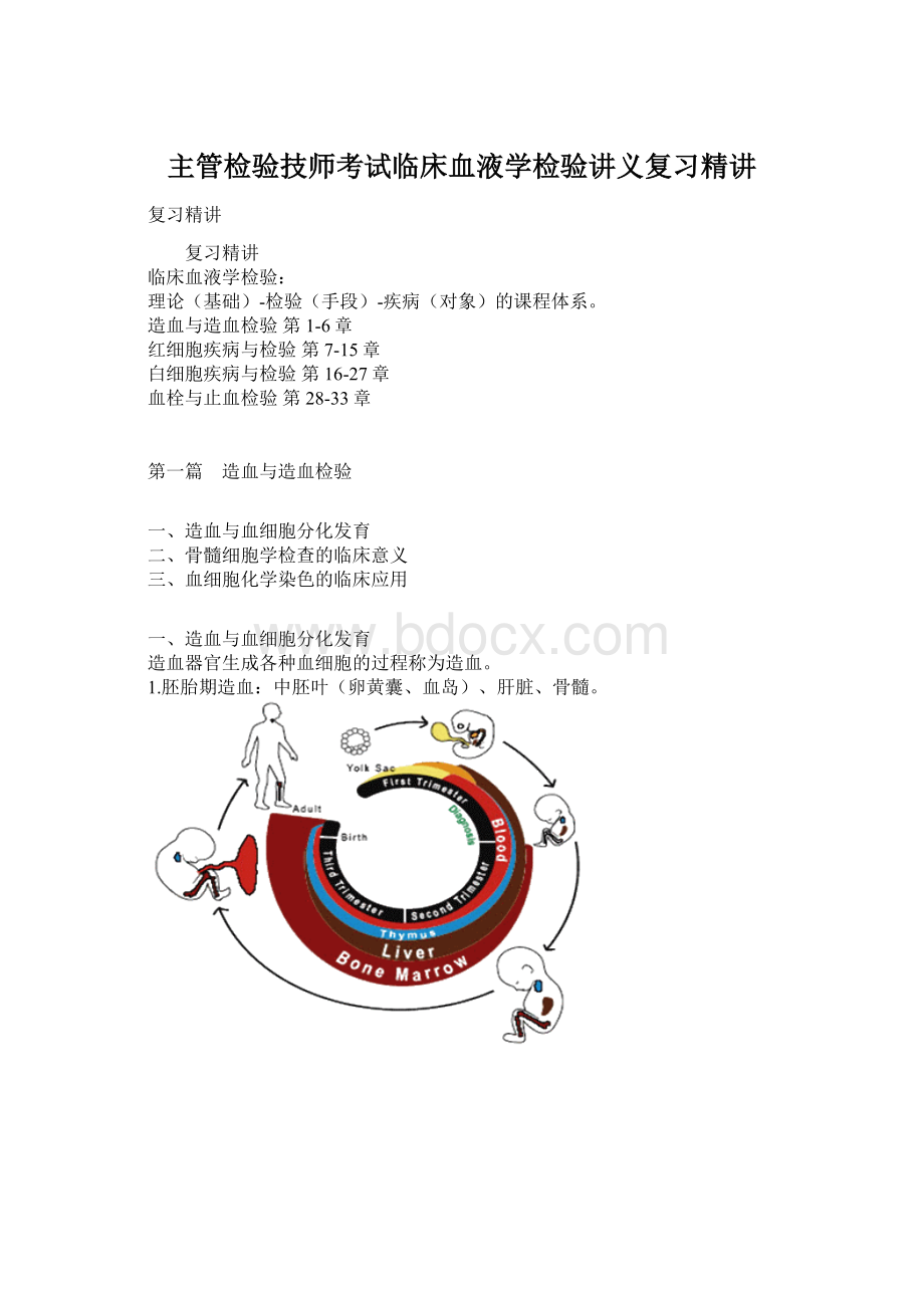 主管检验技师考试临床血液学检验讲义复习精讲Word格式文档下载.docx