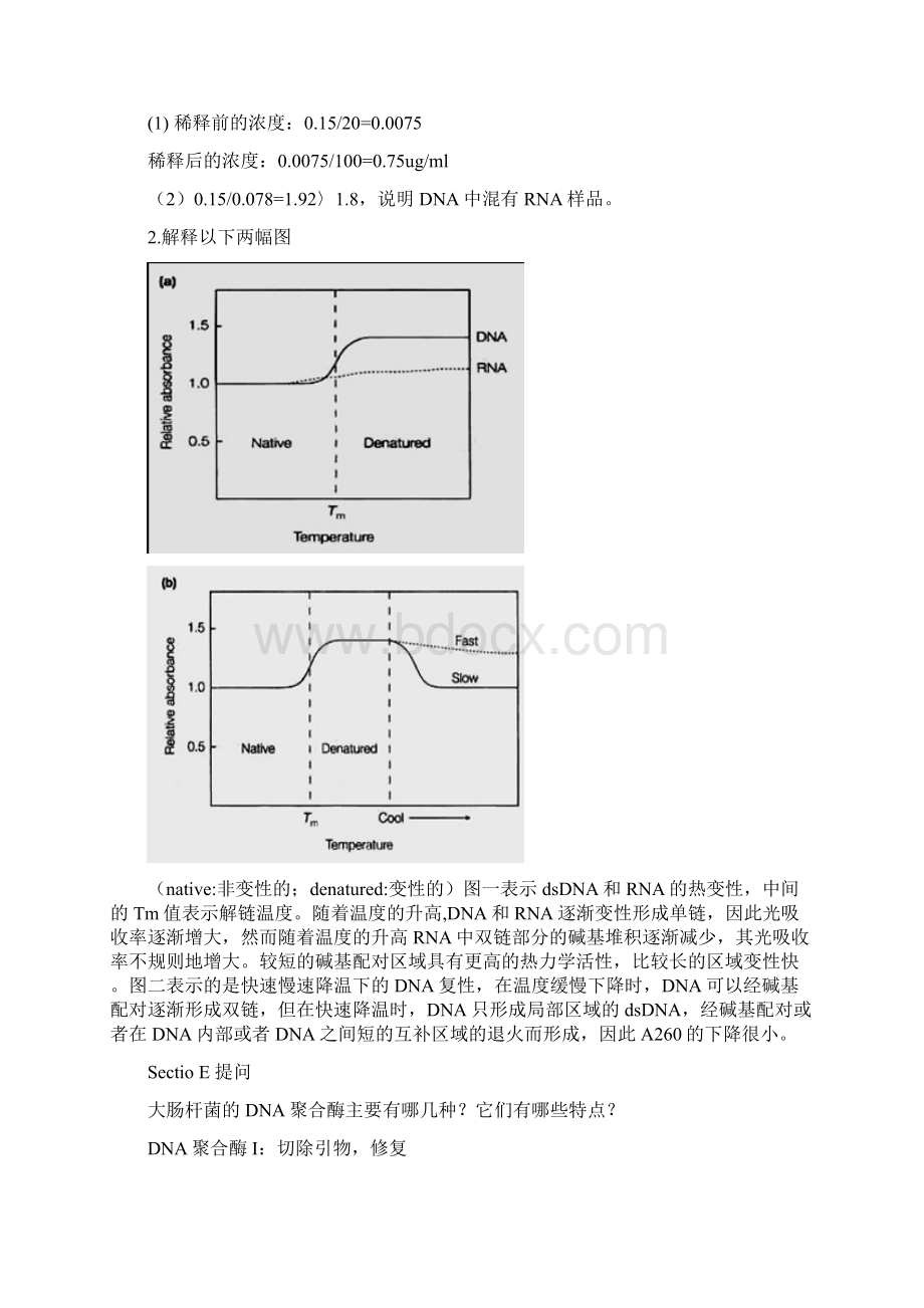 分子生物学问题汇总解析Word文档下载推荐.docx_第2页