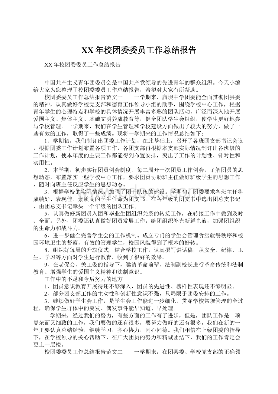 XX年校团委委员工作总结报告Word格式.docx