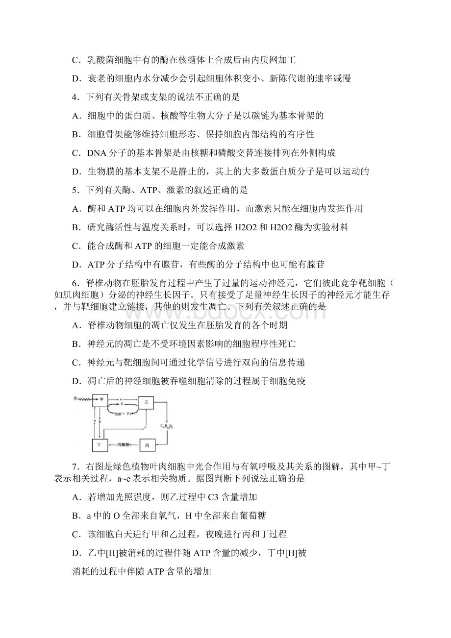 江苏省宿迁市届高三生物上学期期末考试试题04100278Word文档格式.docx_第2页