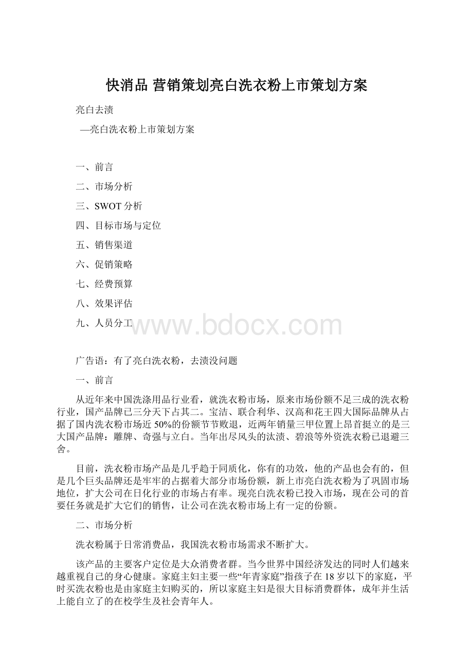 快消品 营销策划亮白洗衣粉上市策划方案Word下载.docx