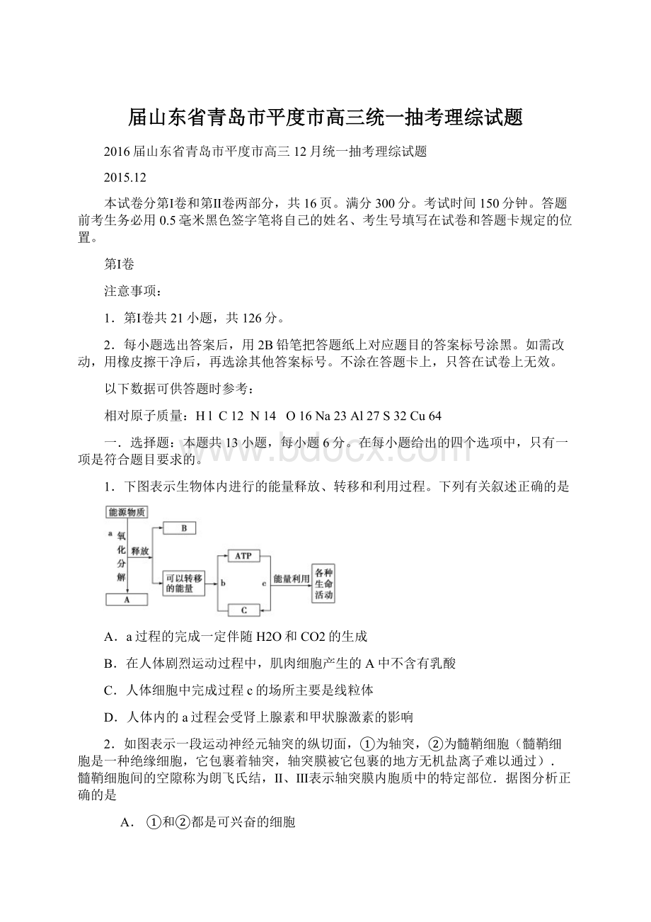 届山东省青岛市平度市高三统一抽考理综试题Word格式文档下载.docx_第1页