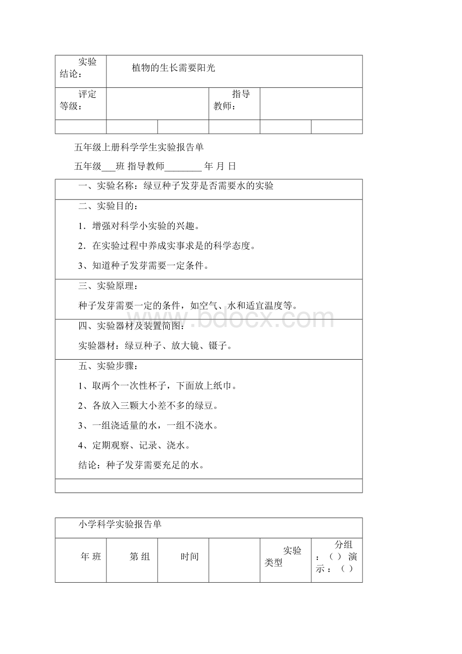 教科版五年级上册科学实验报告单.docx_第3页